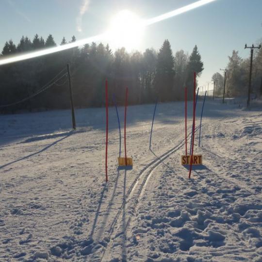 Přimdská 15 - závod v běhu na lyžích - 29.1.2017 1