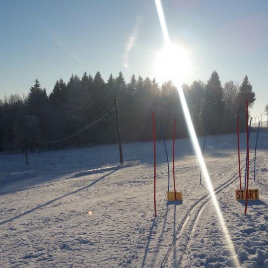Přimdská 15 - závod v běhu na lyžích - 29.1.2017 2