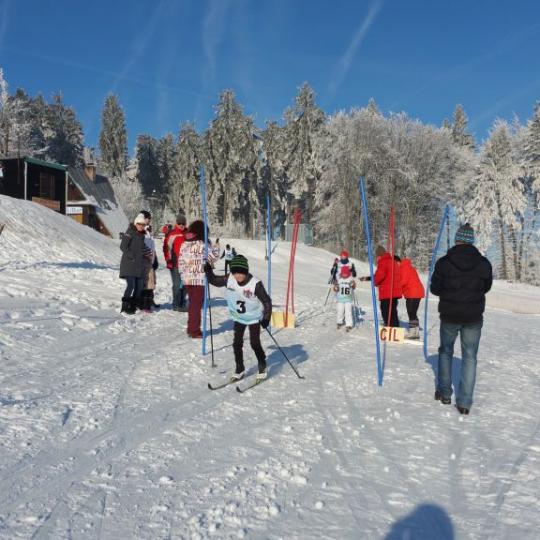 Přimdská 15 - závod v běhu na lyžích - 29.1.2017 3