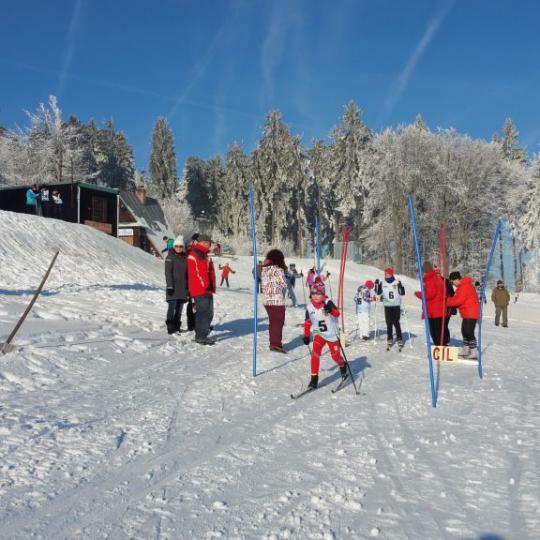 Přimdská 15 - závod v běhu na lyžích - 29.1.2017 4