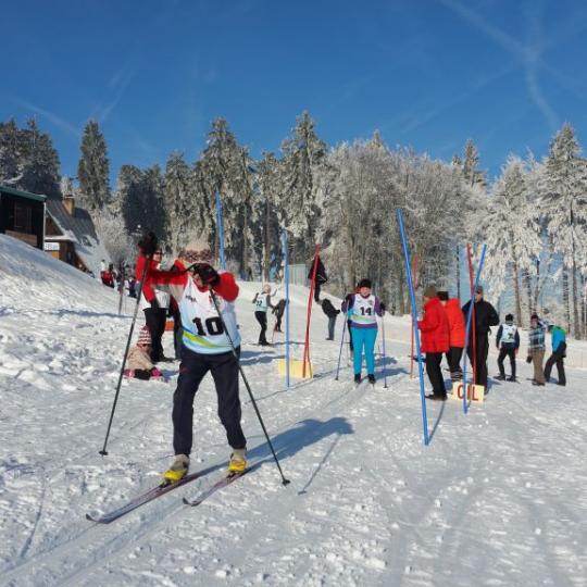 Přimdská 15 - závod v běhu na lyžích - 29.1.2017 8