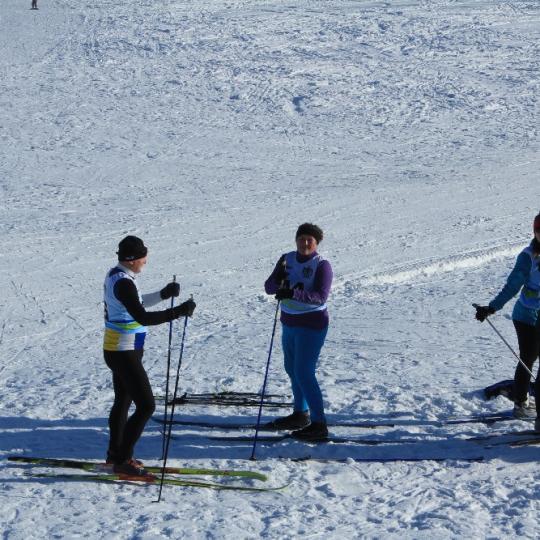 Přimdská 15 - závod v běhu na lyžích - 29.1.2017 11