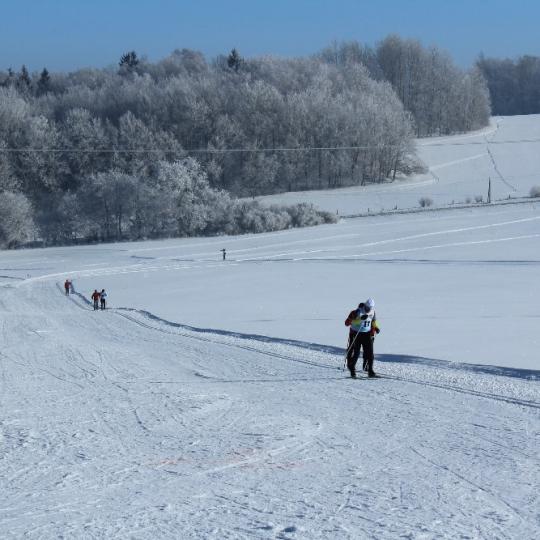 Přimdská 15 - závod v běhu na lyžích - 29.1.2017 18