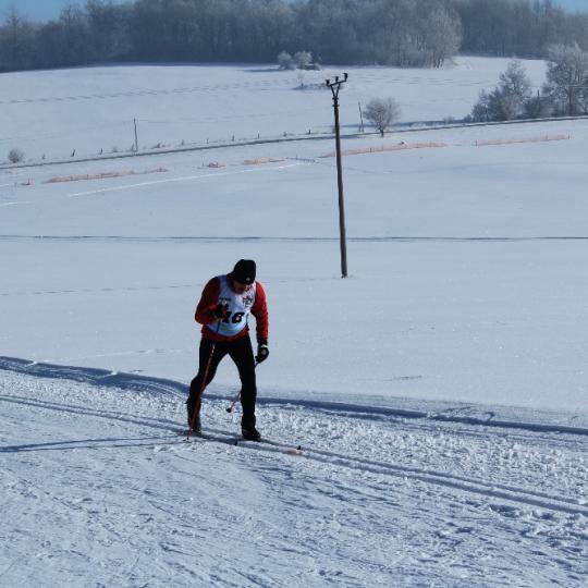 Přimdská 15 - závod v běhu na lyžích - 29.1.2017 20