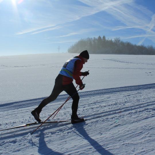 Přimdská 15 - závod v běhu na lyžích - 29.1.2017 21