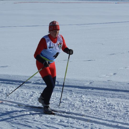 Přimdská 15 - závod v běhu na lyžích - 29.1.2017 27