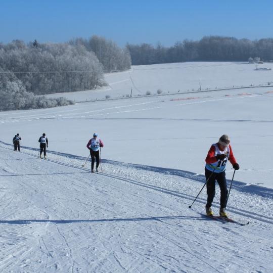 Přimdská 15 - závod v běhu na lyžích - 29.1.2017 30
