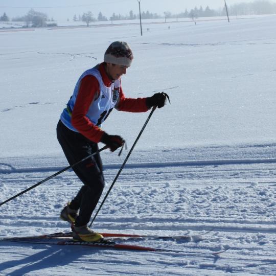 Přimdská 15 - závod v běhu na lyžích - 29.1.2017 31