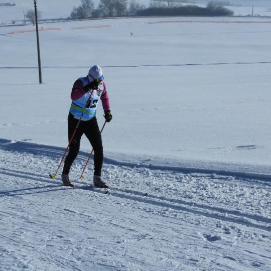 Přimdská 15 - závod v běhu na lyžích - 29.1.2017 32