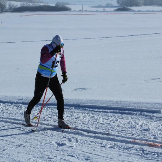 Přimdská 15 - závod v běhu na lyžích - 29.1.2017 33
