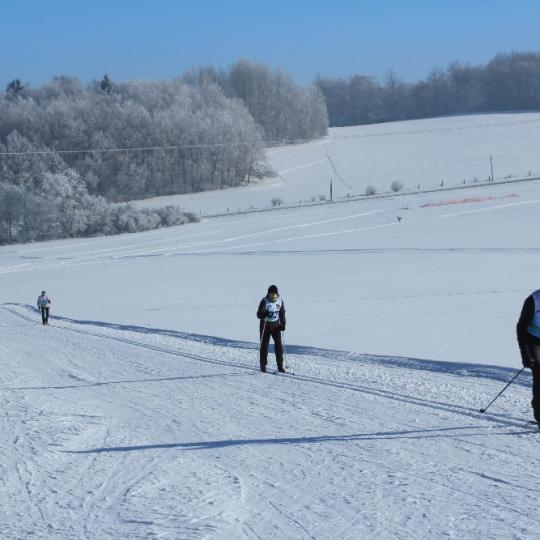 Přimdská 15 - závod v běhu na lyžích - 29.1.2017 36