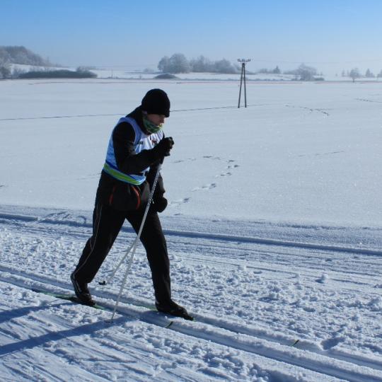 Přimdská 15 - závod v běhu na lyžích - 29.1.2017 37
