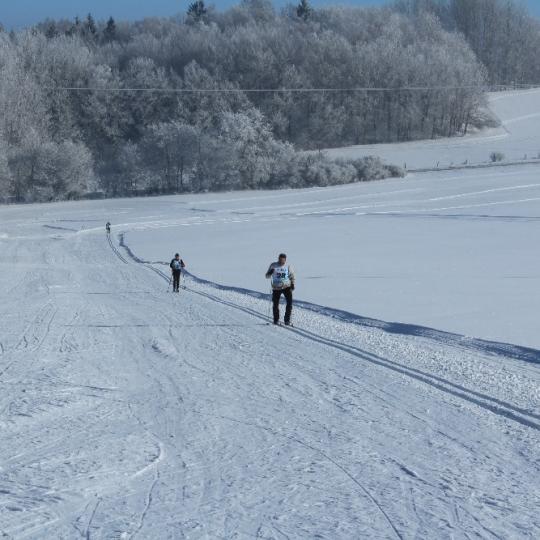 Přimdská 15 - závod v běhu na lyžích - 29.1.2017 38