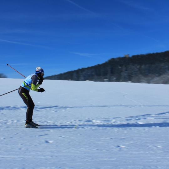 Přimdská 15 - závod v běhu na lyžích - 29.1.2017 42
