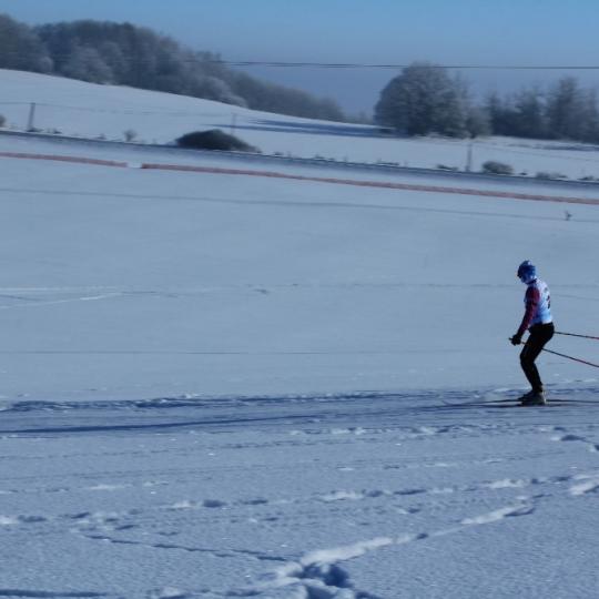 Přimdská 15 - závod v běhu na lyžích - 29.1.2017 45