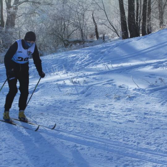 Přimdská 15 - závod v běhu na lyžích - 29.1.2017 58