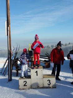 Přimdská 15 - závod v běhu na lyžích - 29.1.2017